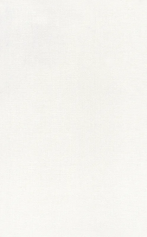 Ауленсия серый матовый 25x40