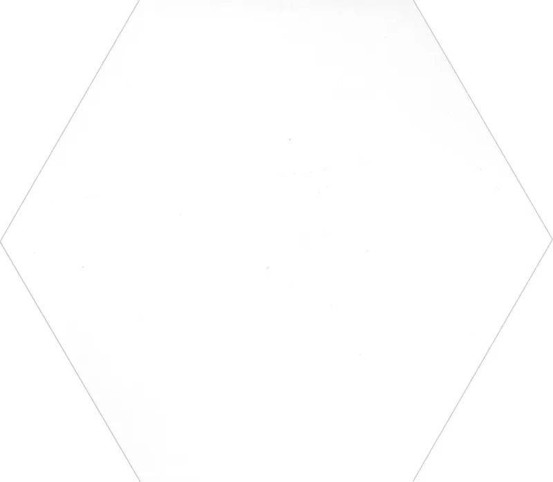 Буранелли белый 20x23,1