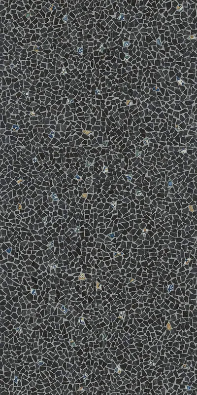 Палладиана черный декорированный лаппатированный обрезной 119,5x238,5