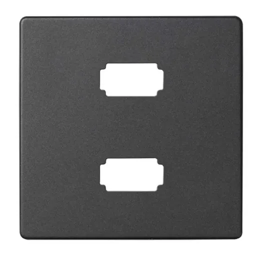 Накладка на розетку Simon 82 Detail на 2 разъема USB 2.0 тип А, Simon 82, графит — передний план панели с отверстиями