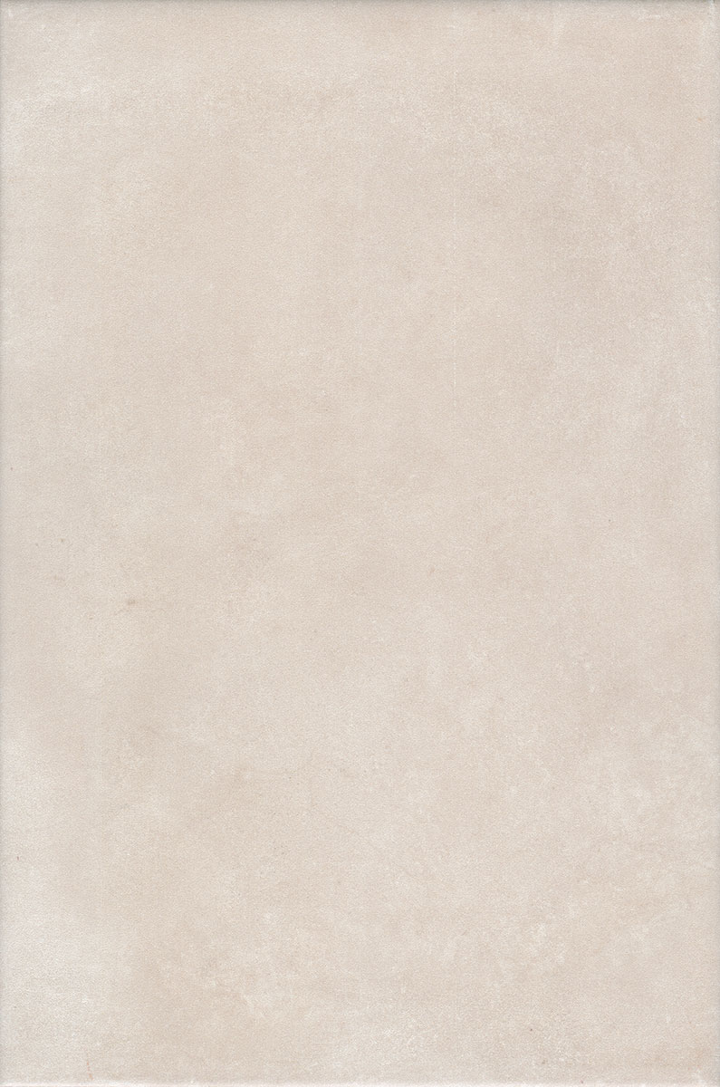 Александрия светлый матовый 20x30