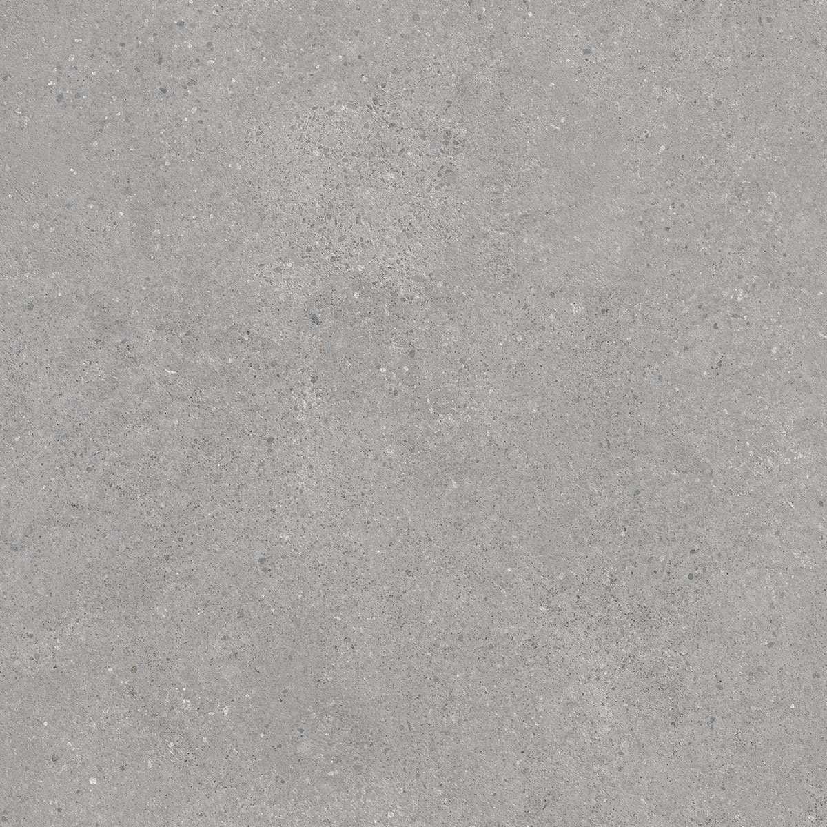 Фондамента серый светлый обрезной 60x60