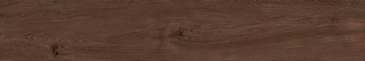 Сальветти вишня обрезной 20x119,5