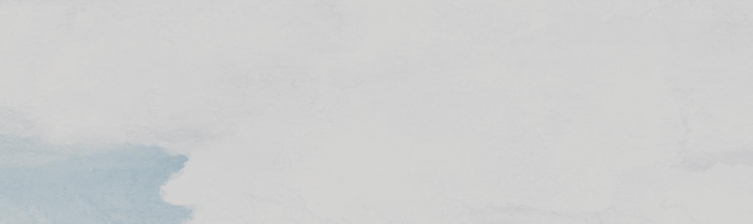 Декор Тракай 1 глянцевый 8,5x28,5