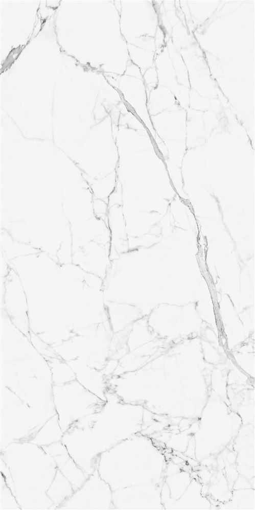 60X120 CityMarble Статуарио Венато R10
