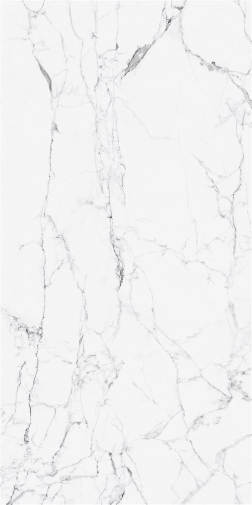 60X120 CityMarble Статуарио Венато R10