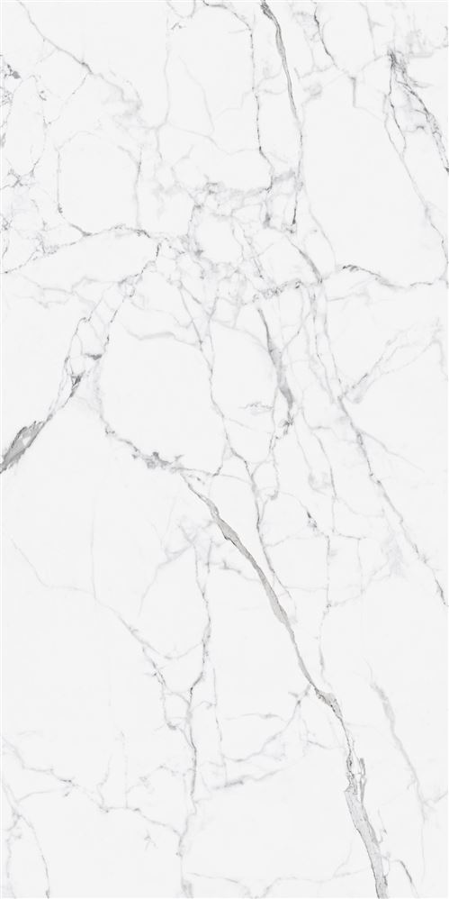 60X120 CityMarble Статуарио Венато R10