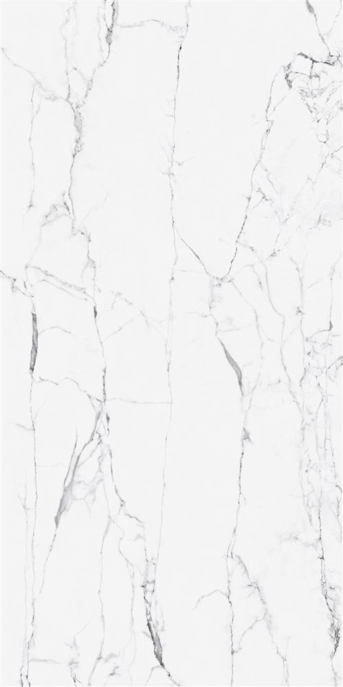 60X120 CityMarble Статуарио Венато R10