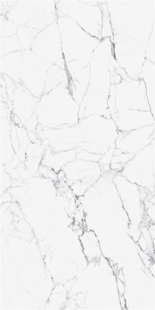 60X120 CityMarble Статуарио Венато R10